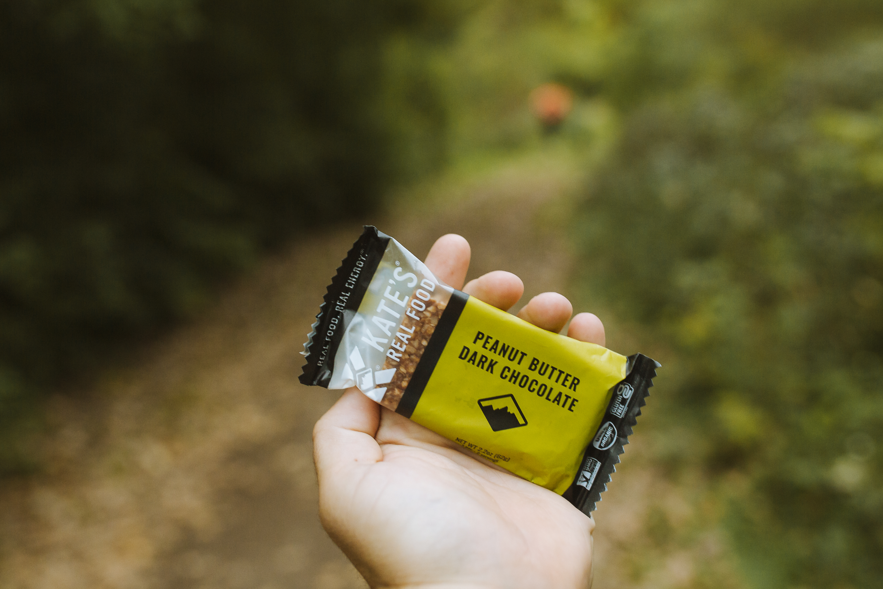 What are healthy fats