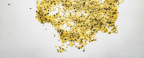 Learn About Hemp Seeds Benefits