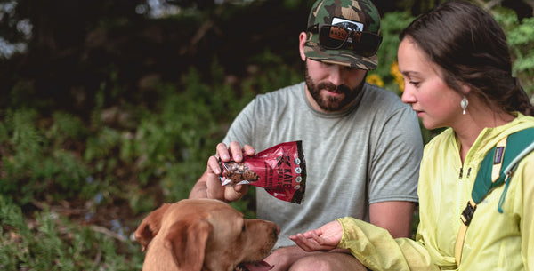 The Ultimate Guide to Adventure Foods