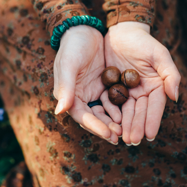 The Nutritional Benefits of Macadamia Nuts