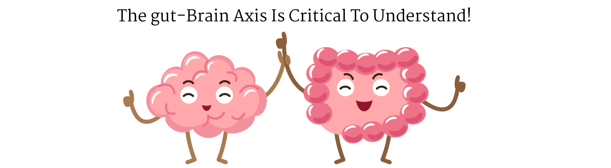 Mental Health Awareness Month: The gut-brain axis is real — and what you feed it matters. Every Kate's Bar Is Prebiotic.