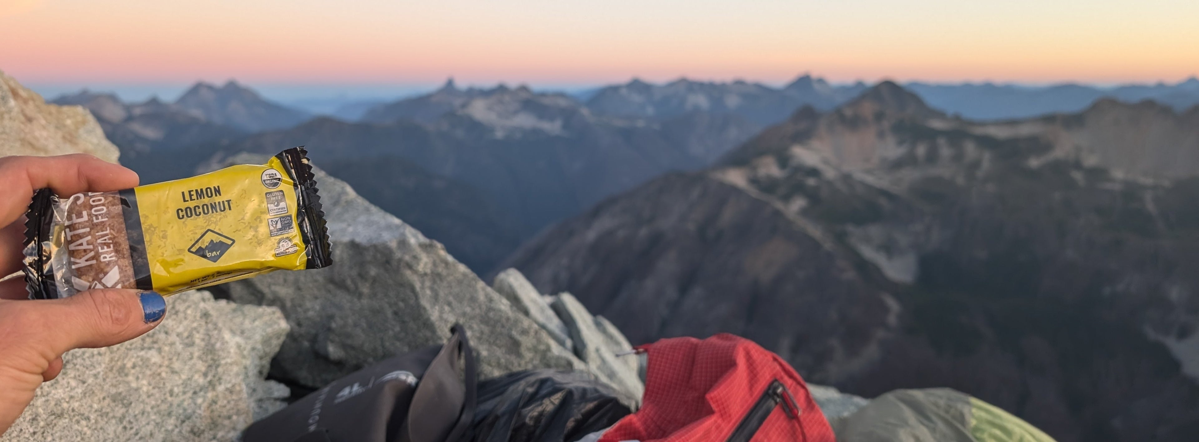 non-GMO Lemon Coconut bar | Kate's Real Food