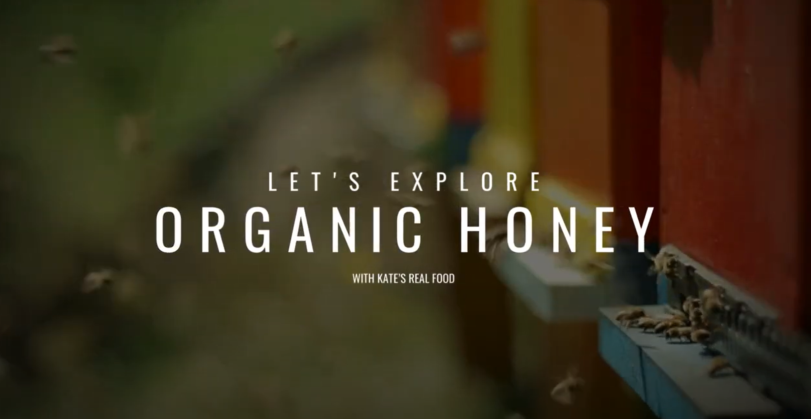Organic Honey - An Ultimate Guide