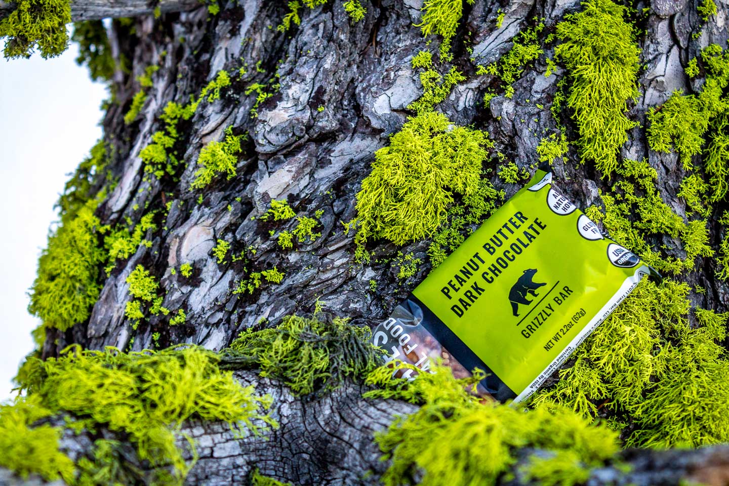 5 Ways to Reduce Waste: The Importance of Sustainable Practices