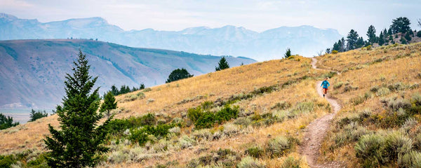 Live High, Train Low: A Guide for Endurance Athletes