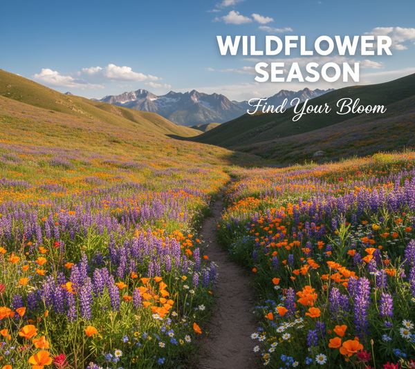 Wildflower Trail Guide: How to find wildflower season wherever you hike