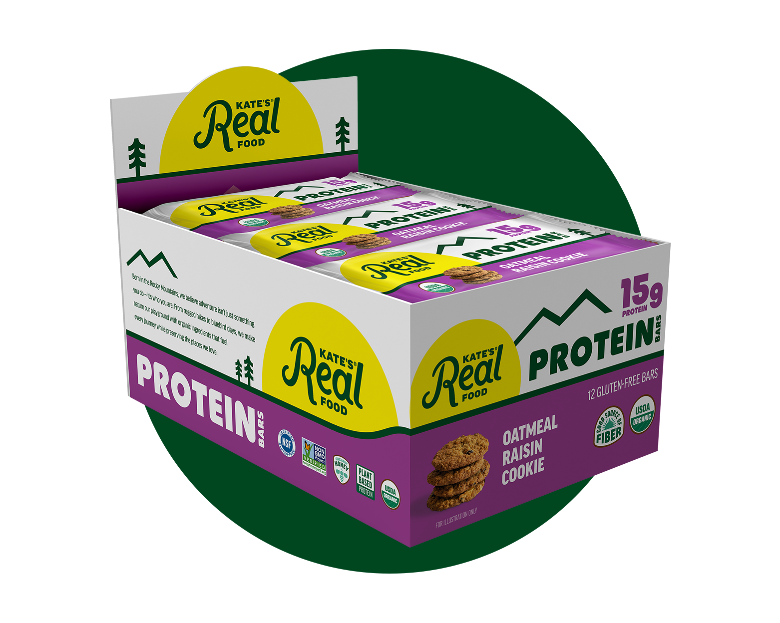 Oatmeal Raisin Cookie Protein Bar