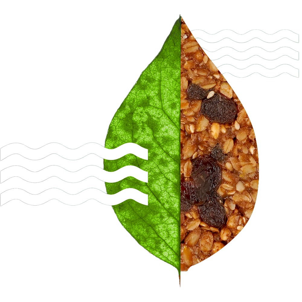 Leaf Image